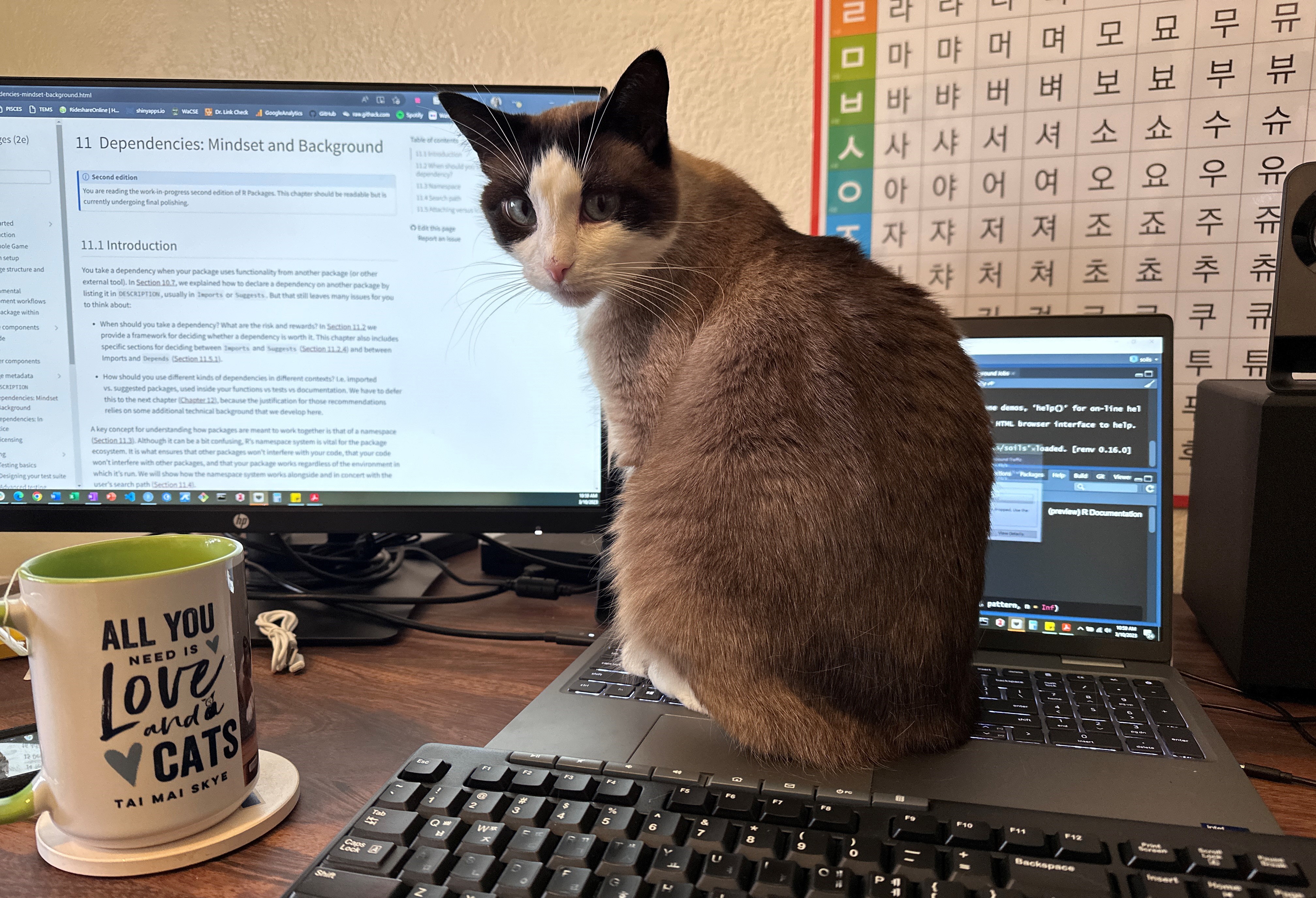 Jadey's cat, Mai, sitting on her laptop that has RStudio open. The monitor next to the laptop and cat has the R Packages book by Hadley Wickham and Jenny Bryan open.